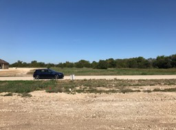 IMG_1333