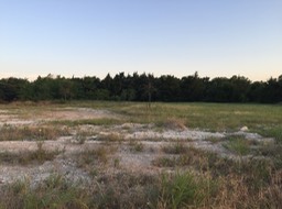 Entire View of Lot on June 29th 2016