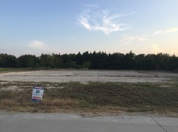 Initial Lot Clearing