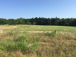 Our Lot on June 15th 2016